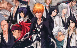 Melee Type Zanpakuto